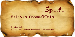 Szlivka Annamária névjegykártya